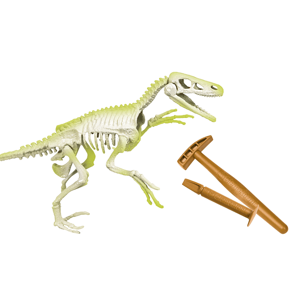 Kit Arqueologia - Velociraptor 2