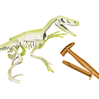 Kit Arqueologia - Velociraptor 2