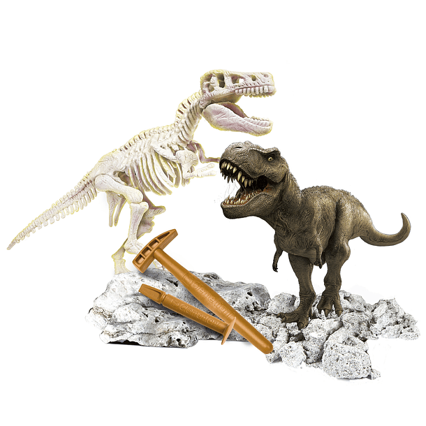 Kit Arqueologia - Tiranossauro Rex 2