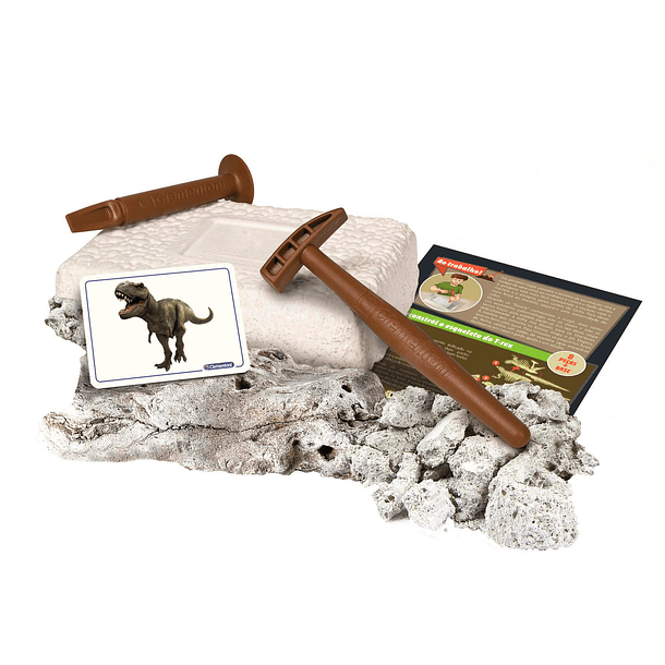 Kit Arqueologia - Tiranossauro Rex 3