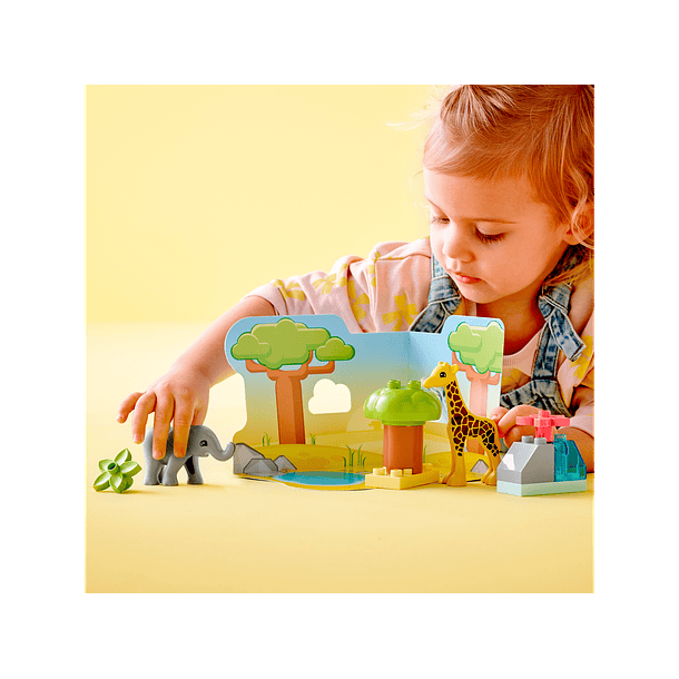 Animais Selvagens de África 3