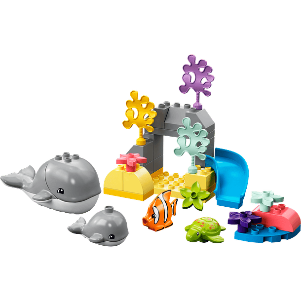 Animais Selvagens do Oceano 2