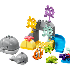 Animais Selvagens do Oceano 2