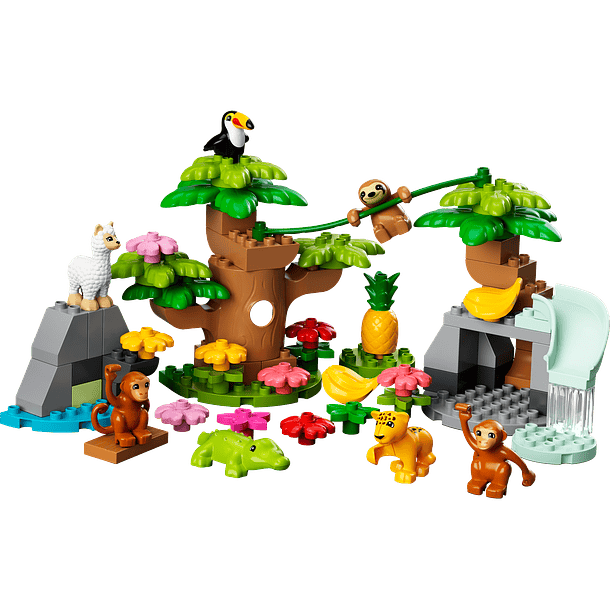 Animais Selvagens da América do Sul 2