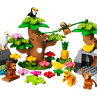 Animais Selvagens da América do Sul 2