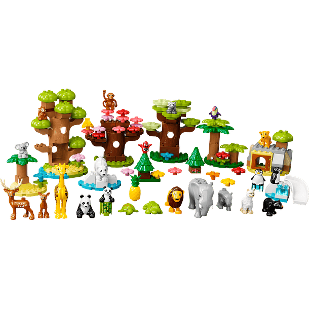 Animais Selvagens do Mundo 2