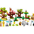 Animais Selvagens do Mundo 2