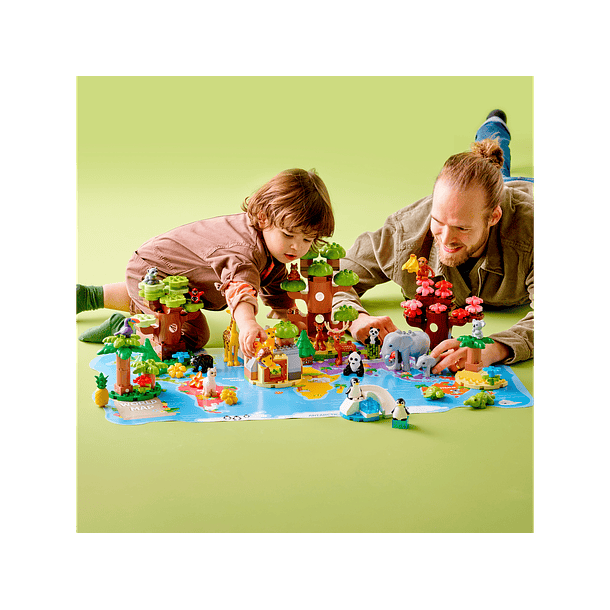 Animais Selvagens do Mundo 4