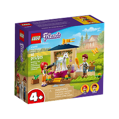 Estábulo para o Banho dos Póneis