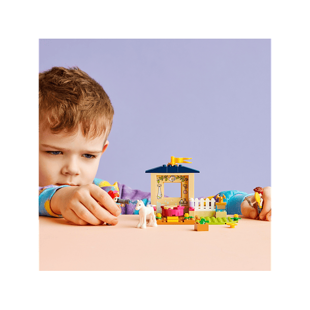 Estábulo para o Banho dos Póneis 3