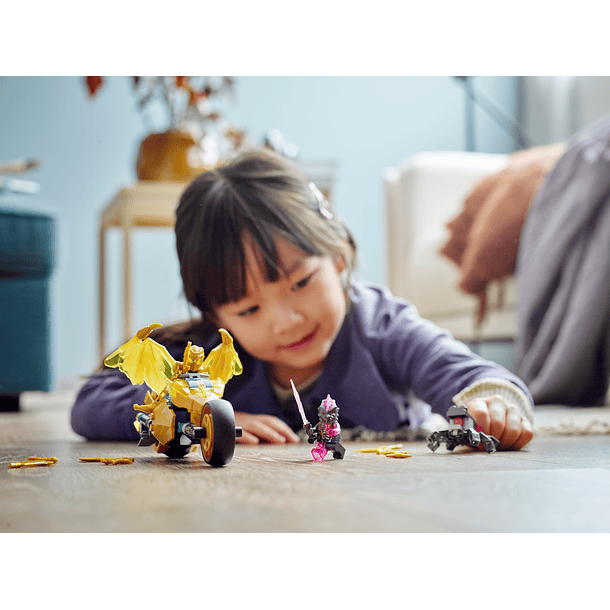 A Mota Dragão Dourado do Jay 3