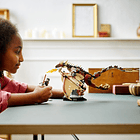 O Dragão Húngaro de Cauda de Chifre 5