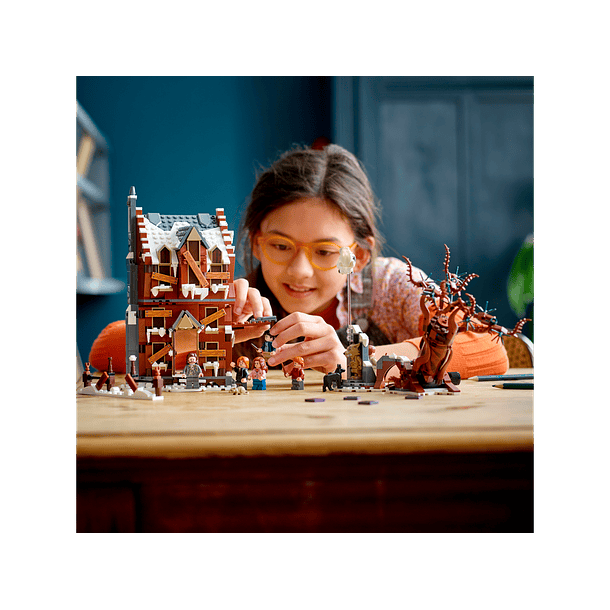 A Cabana dos Gritos e o Salgueiro Zurzidor 4