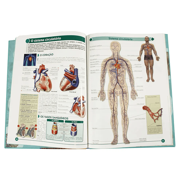 Atlas Visual do Corpo Humano 2