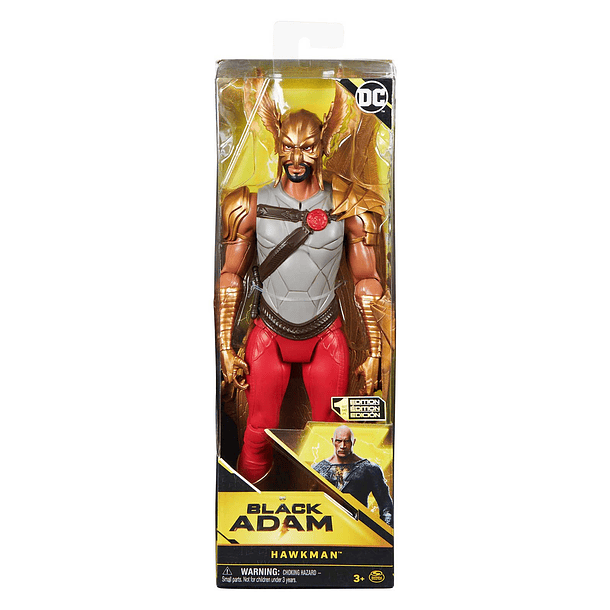 Figura XL - Hawkman 1