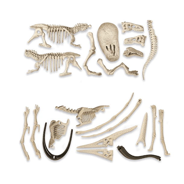 Dig Kit - T-Rex e Pteranodon 3