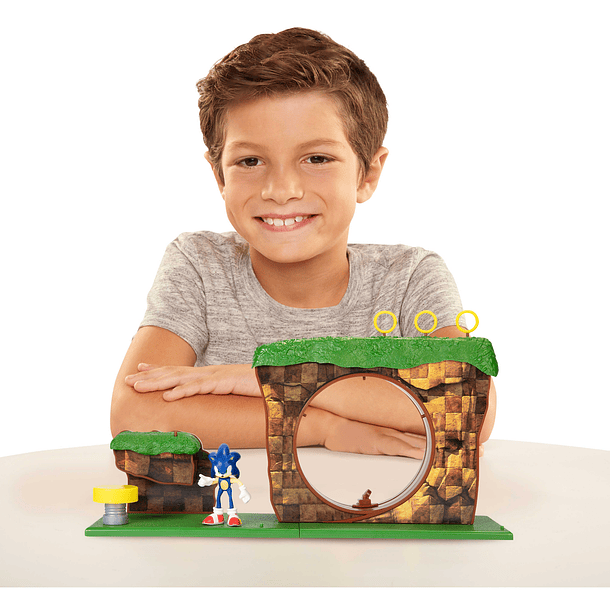 Sonic The Hedgehog - Playset Green Hill Zone 3