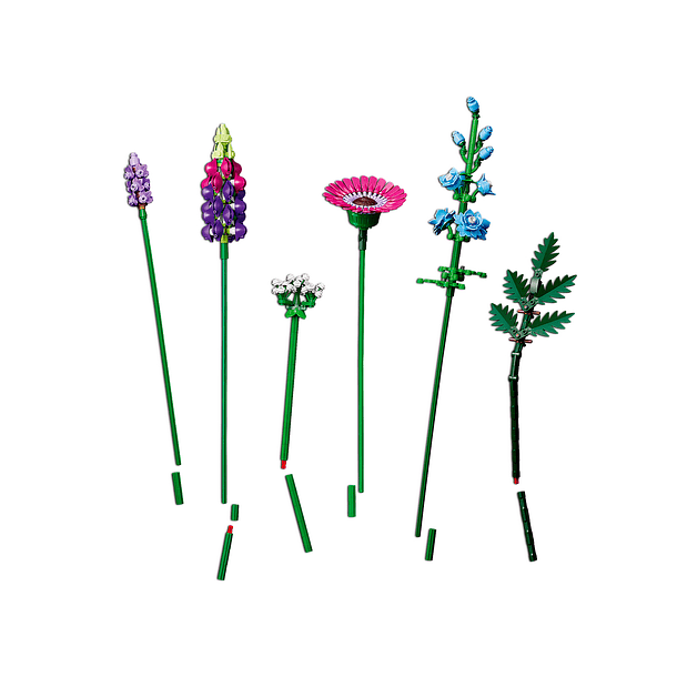 Buquê de Flores Silvestres 5