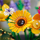 Buquê de Flores Silvestres 8