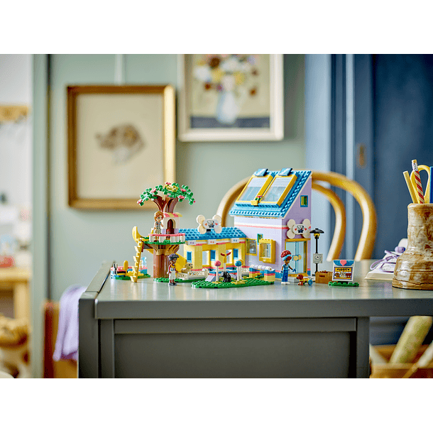 Centro de Resgate de Cães 5