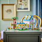 Centro de Resgate de Cães 5