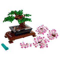 Bonsai