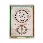 Varinha Mágica - Voldemort 4