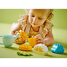 Cenoura em Crescimento 4