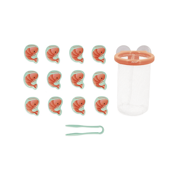 Rede do Banho para Pescar Gambas 3