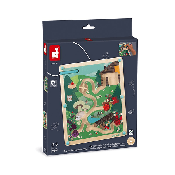 Labirinto Magnético - Bosque 1