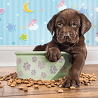 Puzzle 180 pçs - Lovely Puppy 2