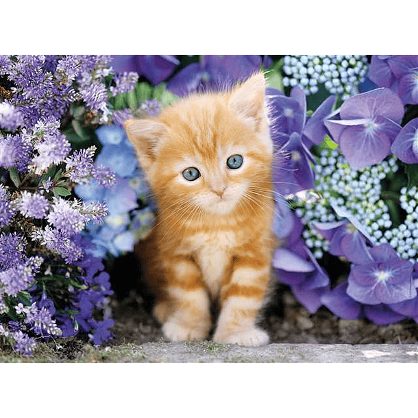 Puzzle 500 pçs - Gato Malhado 2