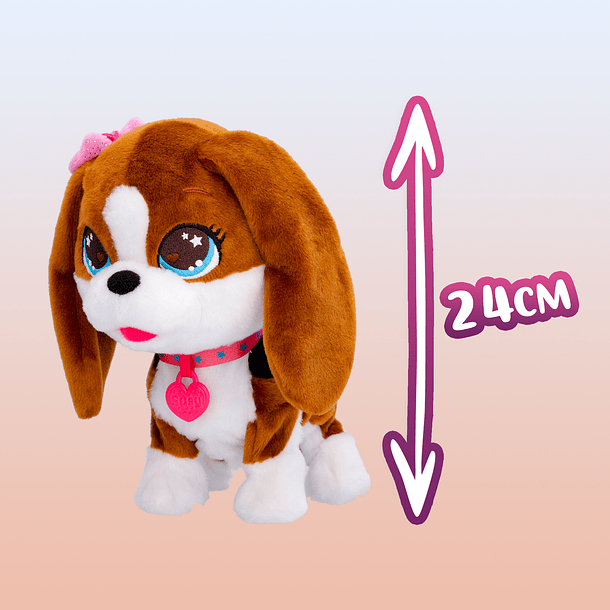 Susy Canta e Dança 5