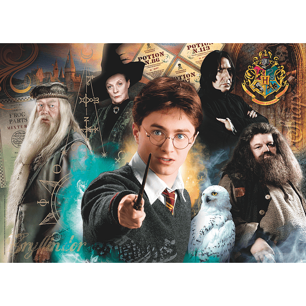 Puzzle 500 pçs - Harry Potter 2