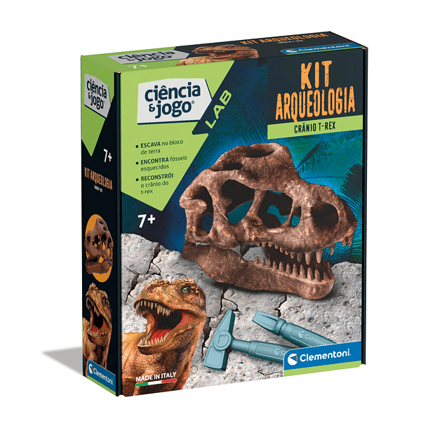 Kit Arqueologia - Crânio T-Rex 1