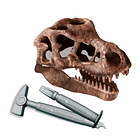 Kit Arqueologia - Crânio T-Rex 3