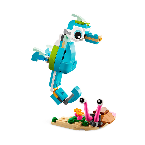 Golfinho e Tartaruga 4