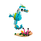 Golfinho e Tartaruga 4