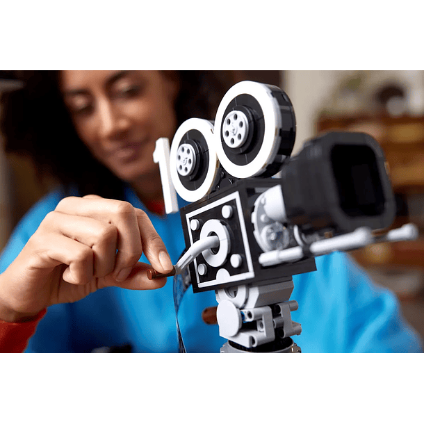 Câmara de Tributo da Walt Disney 9