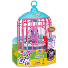 Gaiola de Pássaro Falante - Roxo 1