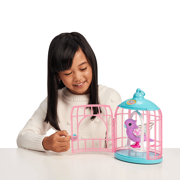 Gaiola de Pássaro Falante - Roxo 5