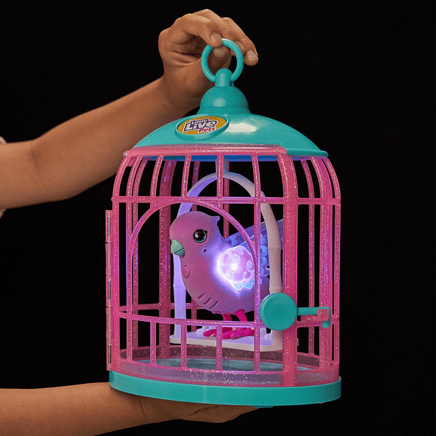 Gaiola de Pássaro Falante - Roxo 6