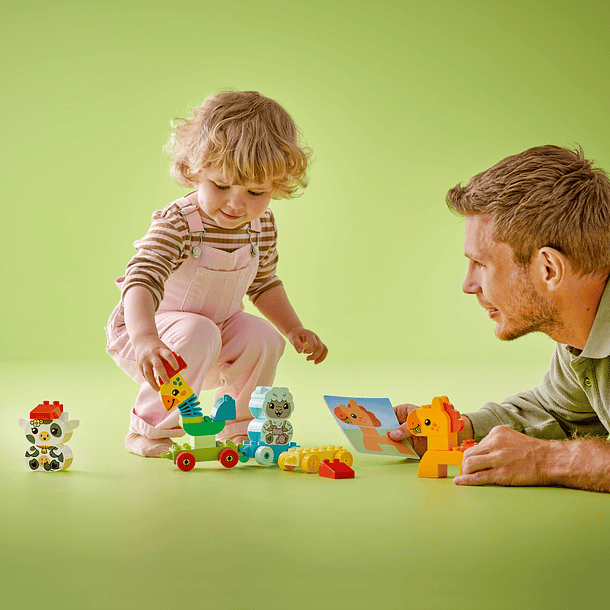 Comboio de Animais 6