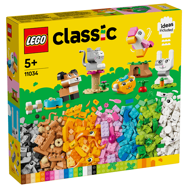 Animais de Estimação Criativos 1