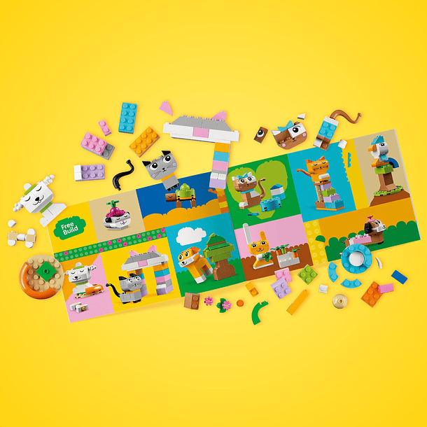 Animais de Estimação Criativos 5