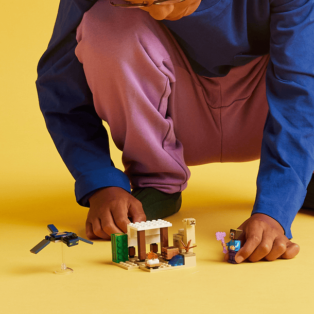 Expedição no Deserto de Steve 7