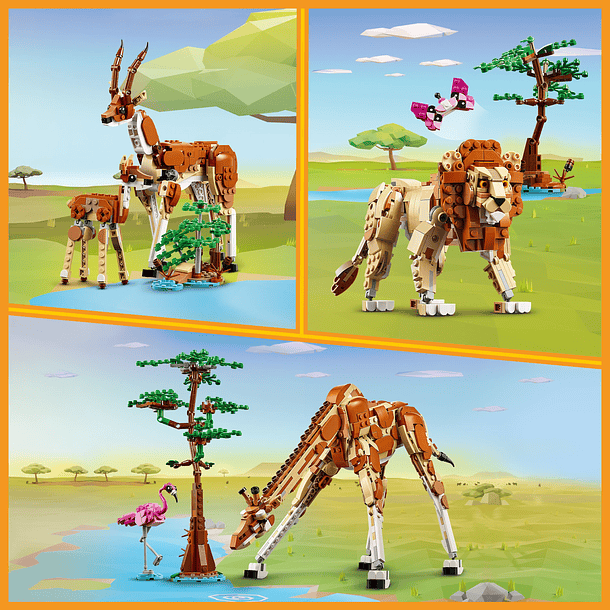 Animais Selvagens do Safari  Theme 4