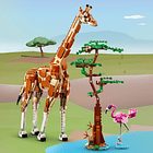 Animais Selvagens do Safari  Theme 5