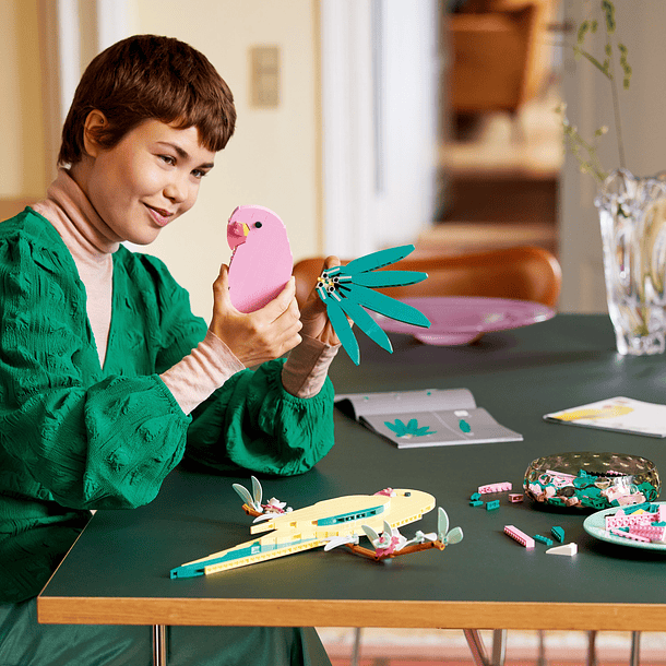 A Coleção de Fauna – Araras 7