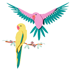 A Coleção de Fauna – Araras